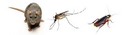 HPC Pest Control Ltd 373817 Image 5